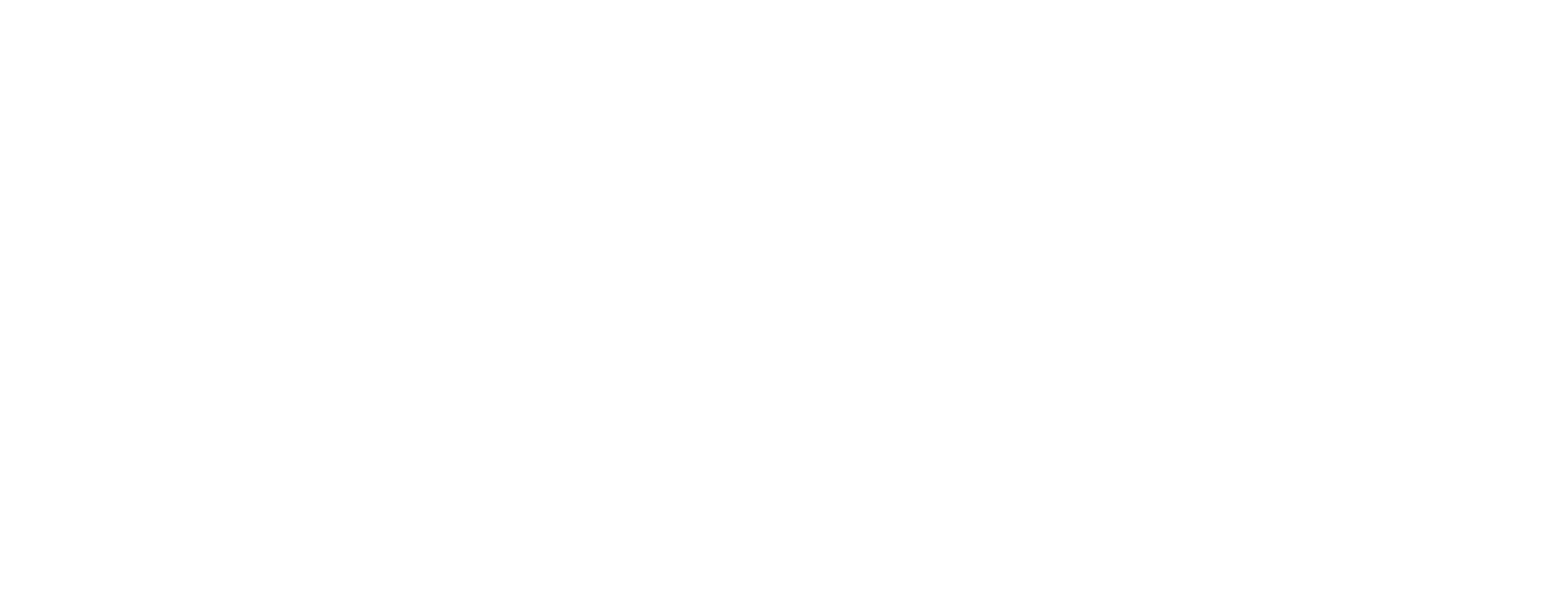 LionTrans